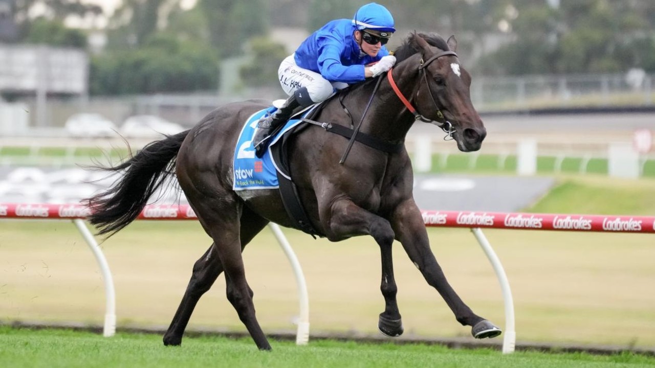 Sheikh Mohammed-owned Godolphin’s Pericles Prepares For A ... Image 1