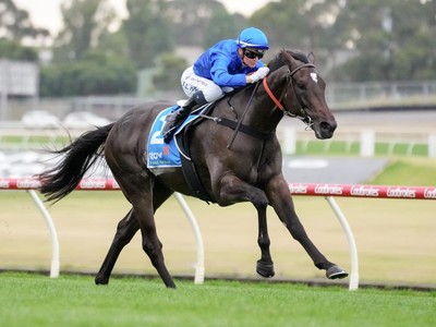 Sheikh Mohammed-owned Godolphin’s Pericles Prepares For A ... Image 1