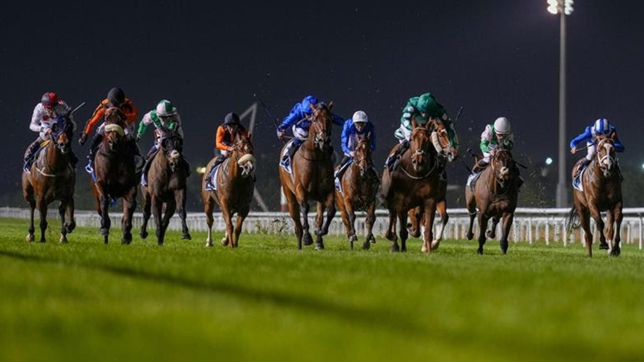 A Fresh Start: Meydan’s Preparation For The New Racing ... Image 1