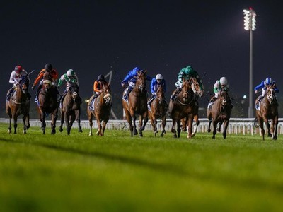 A Fresh Start: Meydan’s Preparation For The New Racing ... Image 1