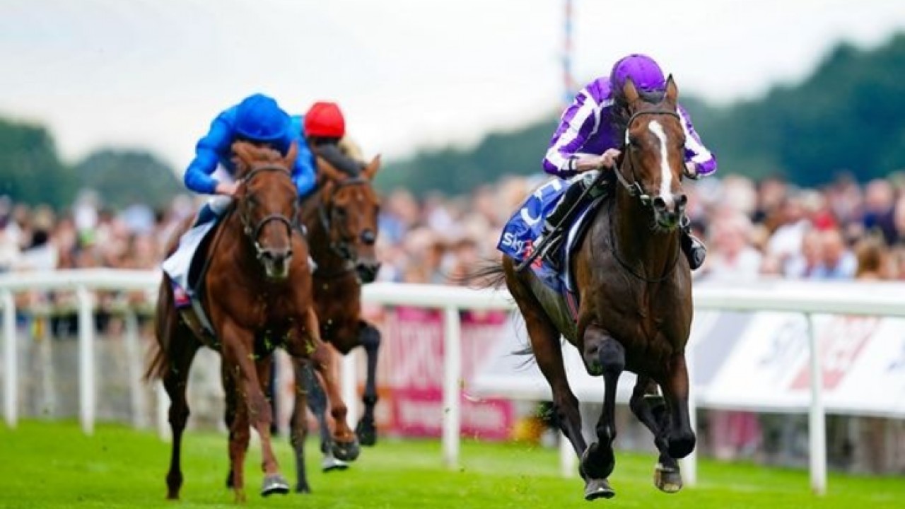 Conquering The St Leger: Continuous Onto The Prestigious ... Image 1