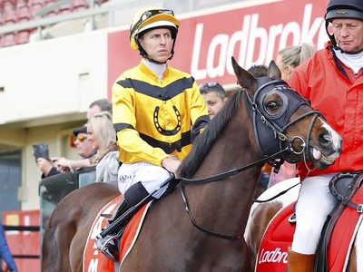 Pearce Brothers Ulimately Choose The Moir Stakes For ... Image 1