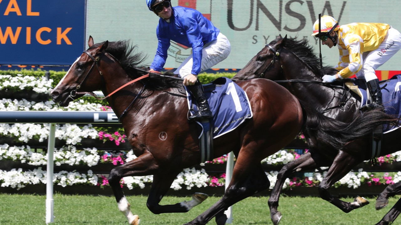 Shinzo &amp; Cylinder Face Off In The Golden Rose Stakes Image 1