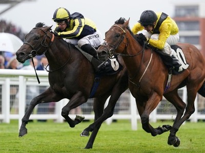 Mister Sketch: The Rising Star Of Mill Reef Stakes Image 1