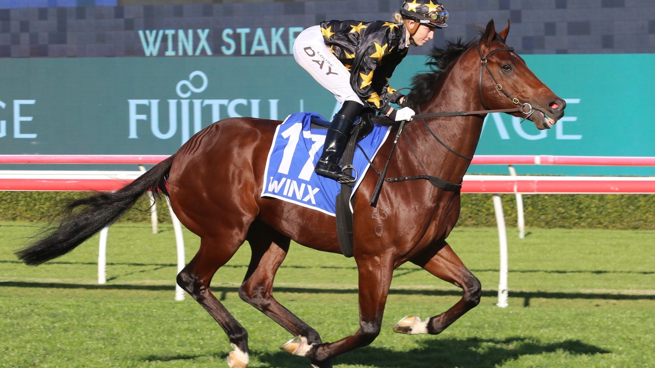 King Colorado &amp; Nadal: Ciaron Maher’s Winning Duo For ... Image 1