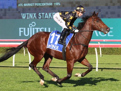 King Colorado &amp; Nadal: Ciaron Maher’s Winning Duo For ... Image 1