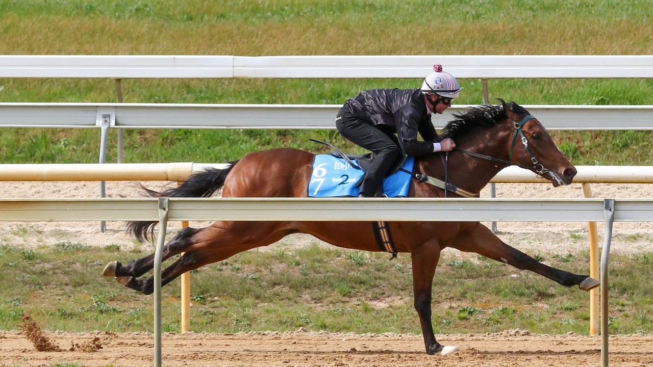 Get A Sneak Peek At Seymour &amp; Cambridge's Monday Breeze Ups ... Image 1