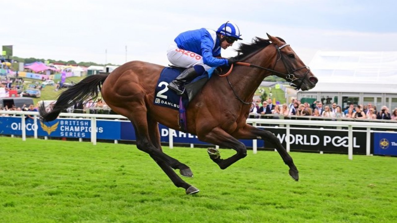 Owen Burrow’s Bold Prediction: Hukum Primed For Qatar Prix ... Image 1