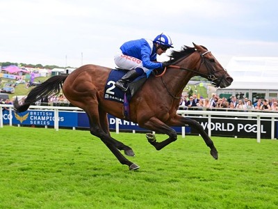 Owen Burrow’s Bold Prediction: Hukum Primed For Qatar Prix ... Image 1