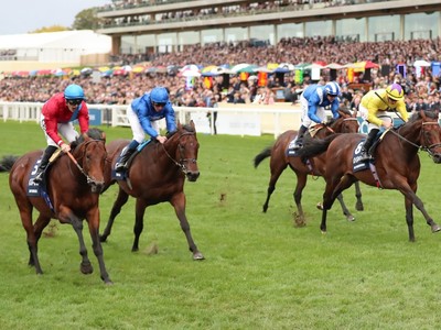 From Champion Stakes To Prix de I’Arc de Triomphe: Bay ... Image 1