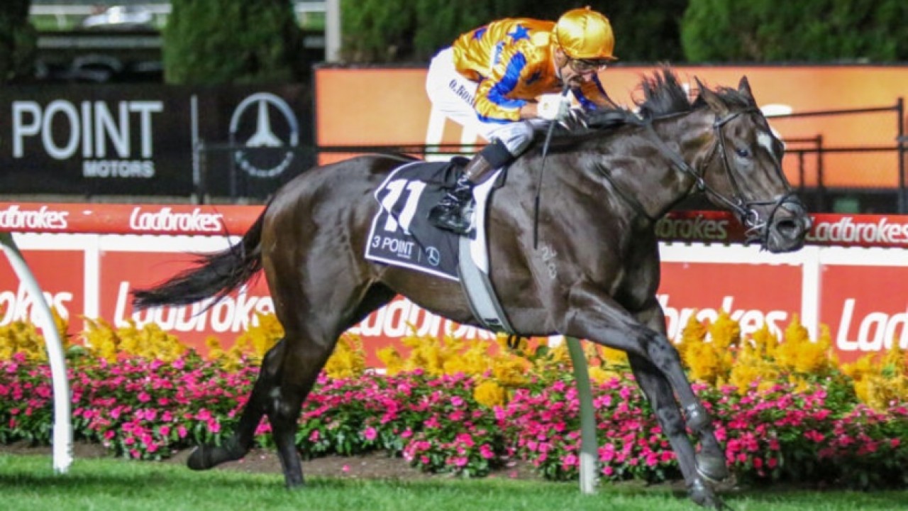 Imperatriz’s Plans for Moir Stakes Victory Image 1