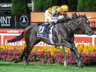 Imperatriz’s Plans for Moir Stakes Victory Image 1