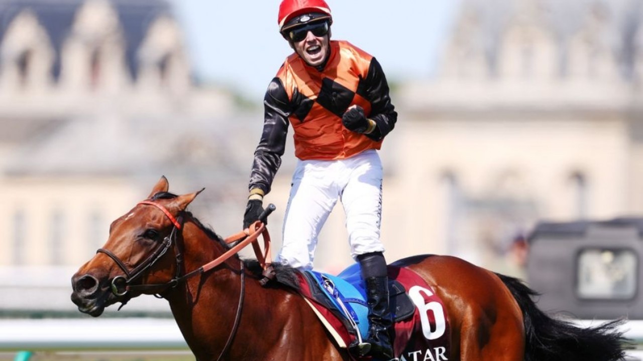 Qatar Prix de I’Arc de Triomphe Preview: Ace Impact ... Image 1