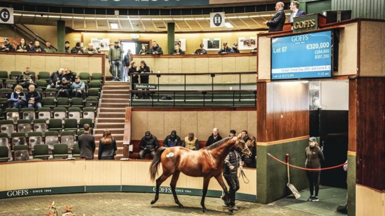 Frankel Filly Sets New Milestone At Goffs Orby Yearling Sale Image 1