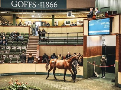 Frankel Filly Sets New Milestone At Goffs Orby Yearling Sale Image 1