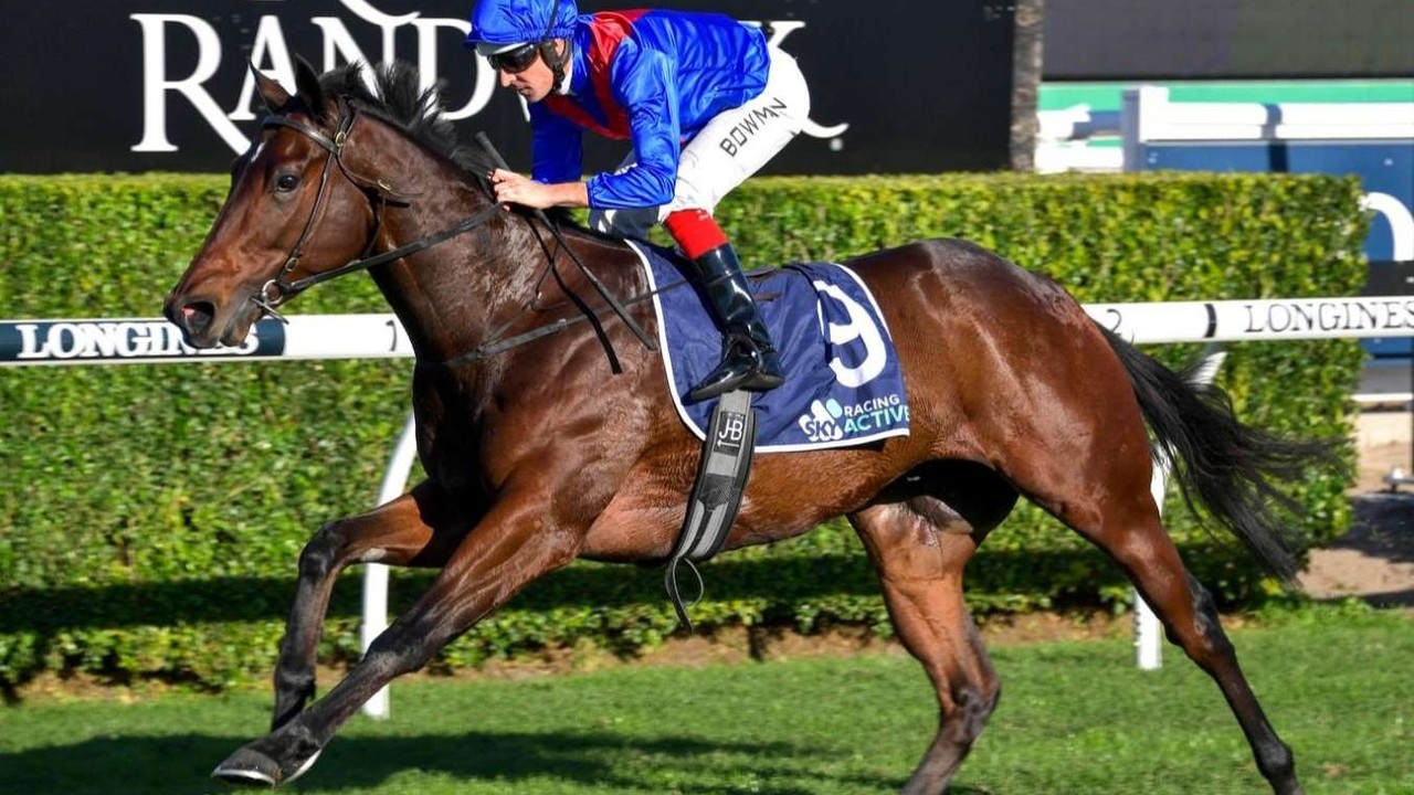 Preview Premier Stakes: The A$1 million Everest Dress ... Image 1