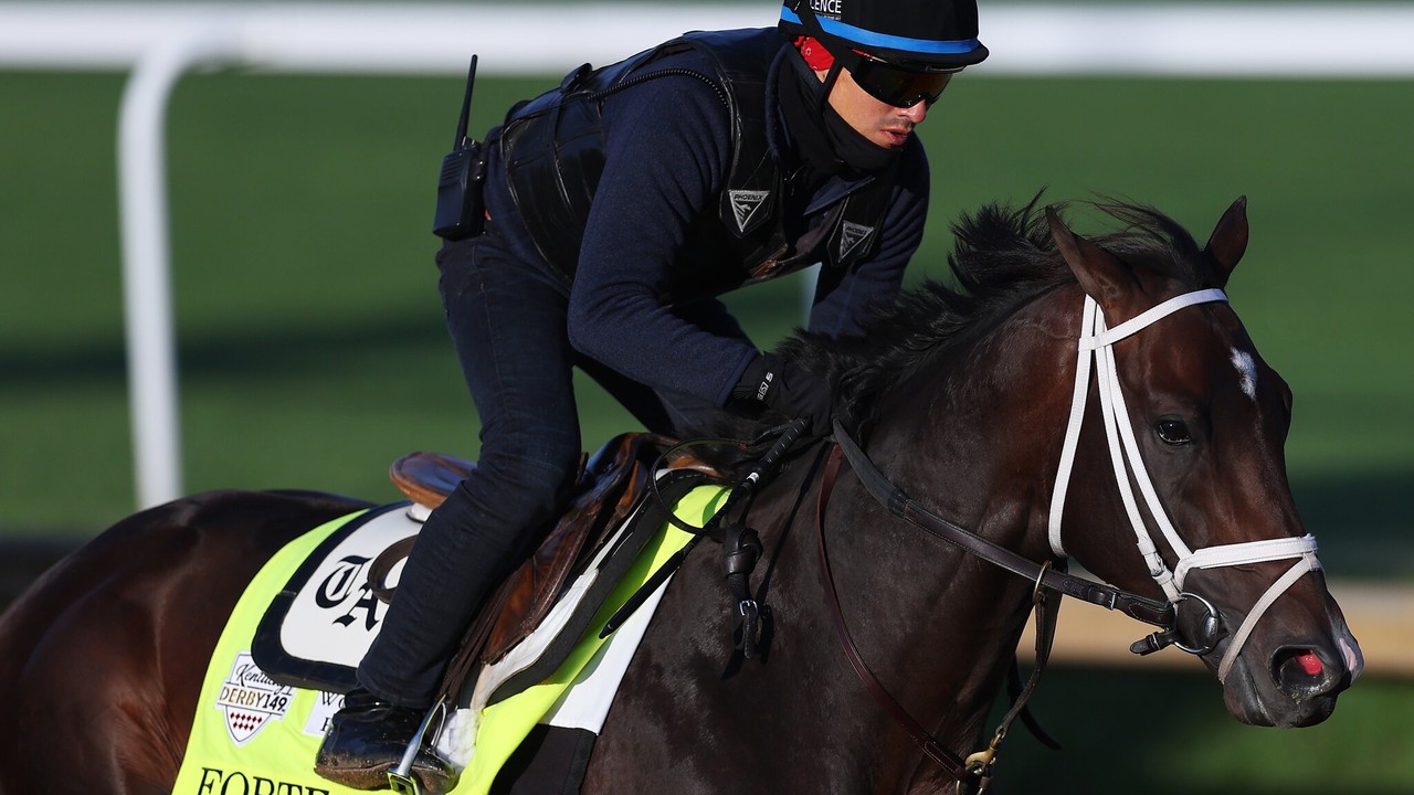 Pletcher's optimism For Forte's Breeders' Cup Readiness Image 1