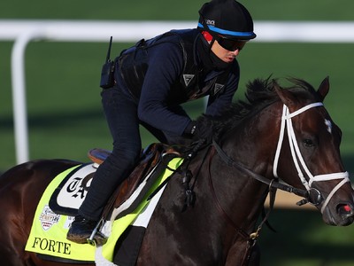 Pletcher's optimism For Forte's Breeders' Cup Readiness Image 1