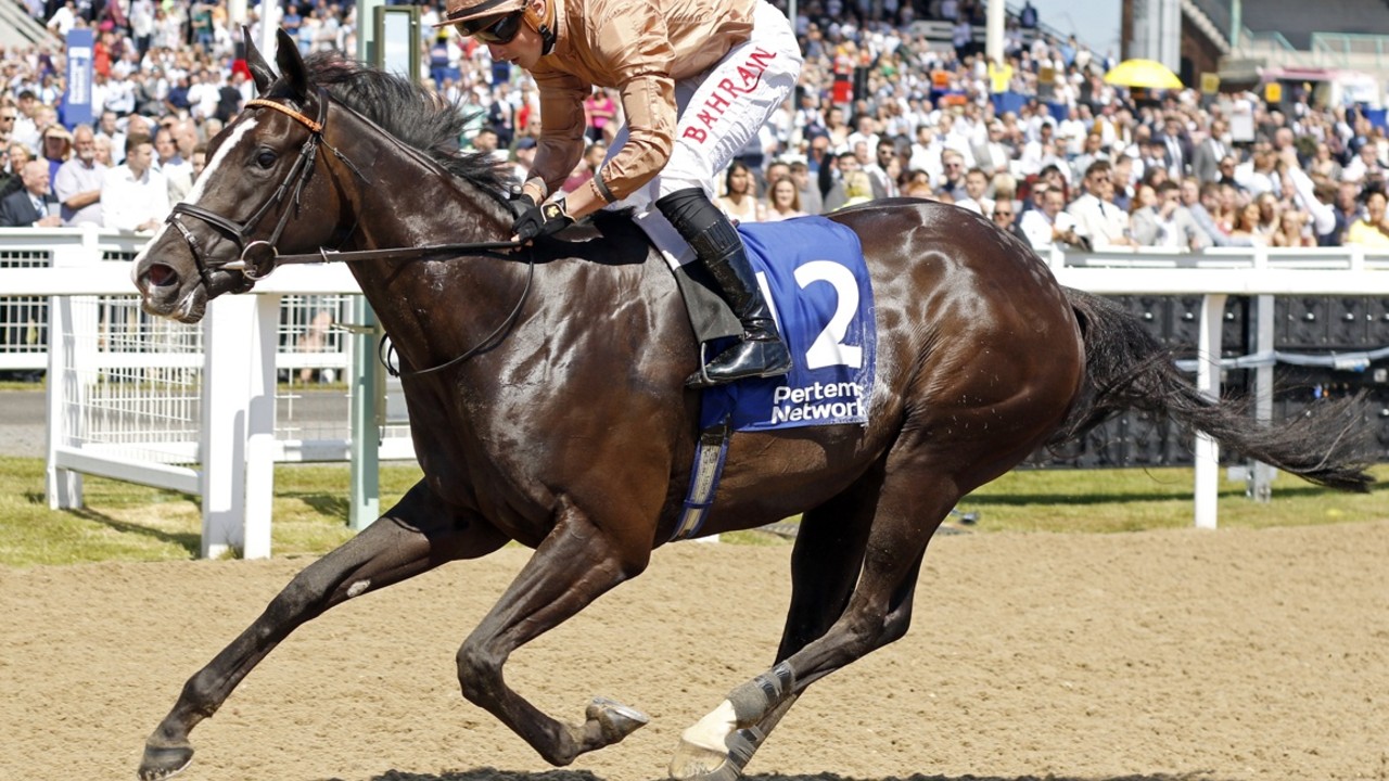 Senses Of Duty: On Track For QIPCO British Champion Day Image 1