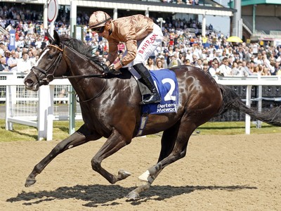 Senses Of Duty: On Track For QIPCO British Champion Day Image 1