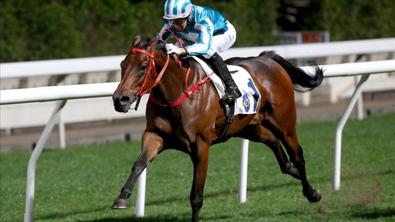 Romantic Warrior Faces Historic Hurdle In Turnbull Stakes Image 1
