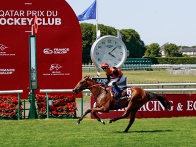 Ace Impact Sprints To Victory In ParisLongchamp Image 1
