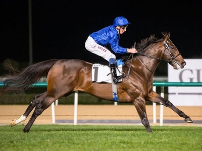 Blue Point Shines In Debut Season At Tattersalls Image 1