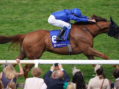 Godolphin Go For Dubawi Filly Topping Tattersalls October ... Image 1