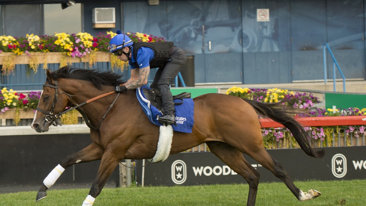 Godolphin's Nations Pride Wins Canadian International Race Image 1