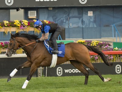 Godolphin's Nations Pride Wins Canadian International Race Image 1