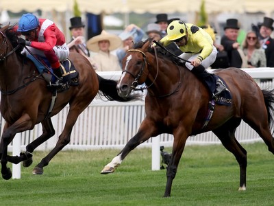 The Grand Ascot Return: Triple Time’s Homecoming Performance Image 1