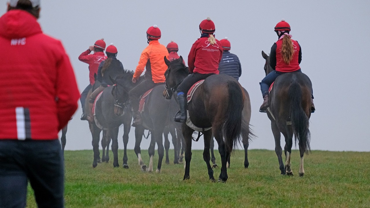 Charlie Fellowes On Prince Of Arran’s Gold Cup Start, ... Image 1