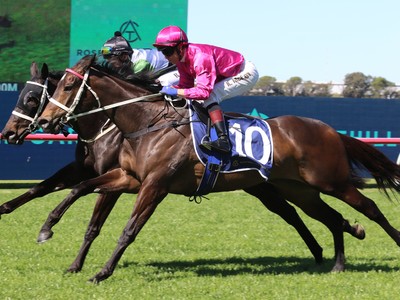 Fangirl Crowned Randwick Queen After King Charles III Win Image 1