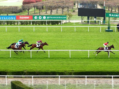 Facteur Cheval Set To Compete At Ascot Races Image 1