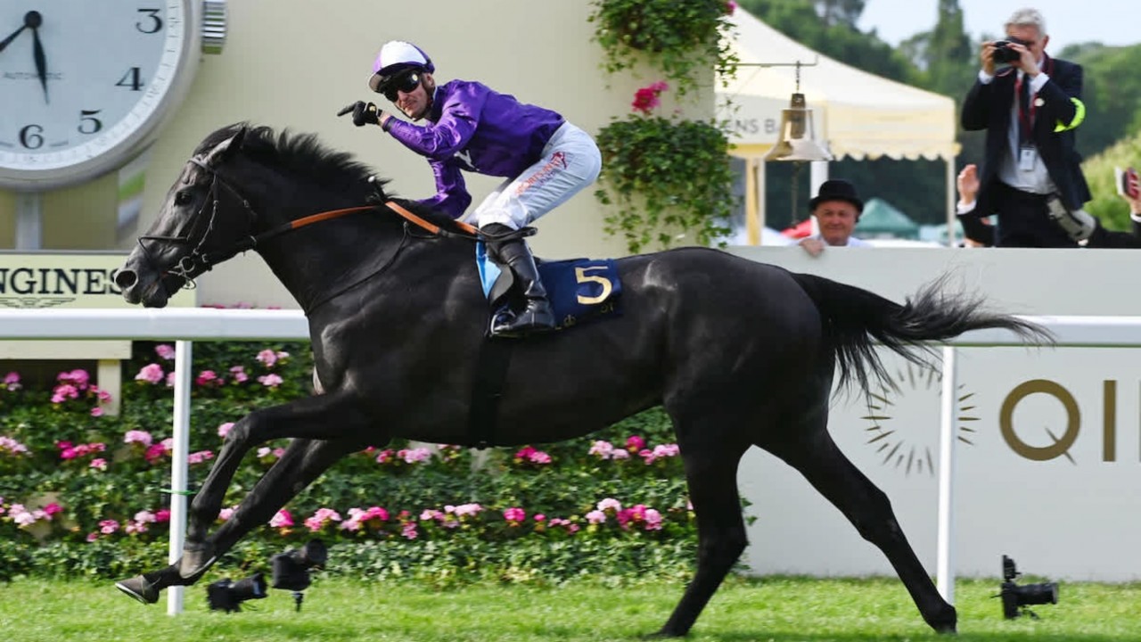 Can King Of Steel Secure A Victory For Dettori? Image 1