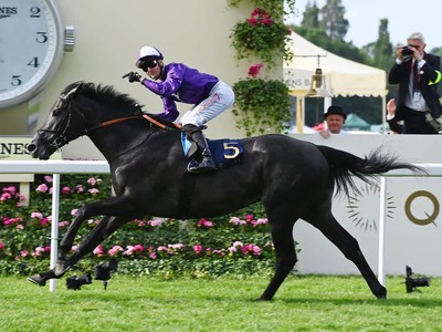 Can King Of Steel Secure A Victory For Dettori? Image 1