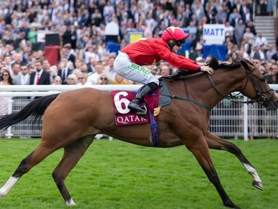 Highfield Princess Opts For Hong Kong Sprint Image 1