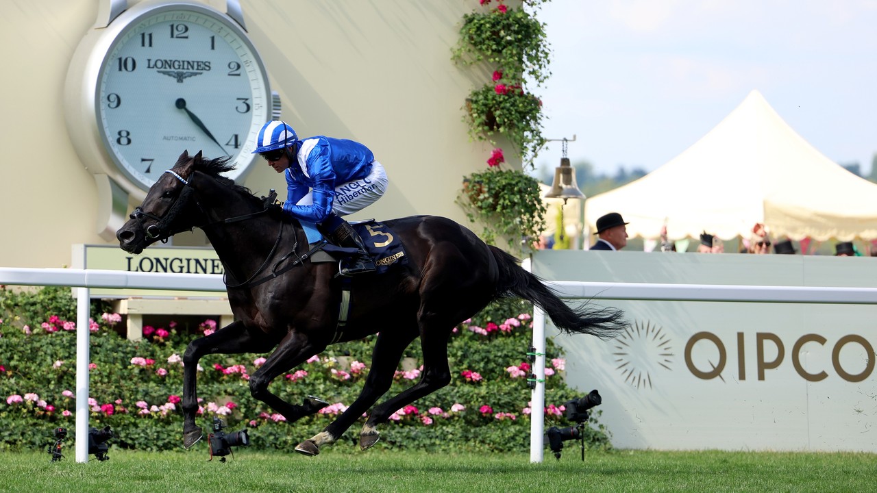 Shadwell Relies On Mostahdaf For Qipco Champion Stakes Image 1