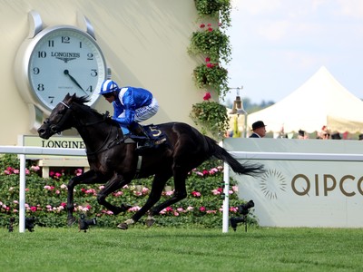 Shadwell Relies On Mostahdaf For Qipco Champion Stakes Image 1