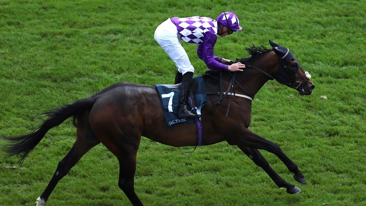 Shaquille's Team Decides To Skip Champions Sprint At Ascot Image 1