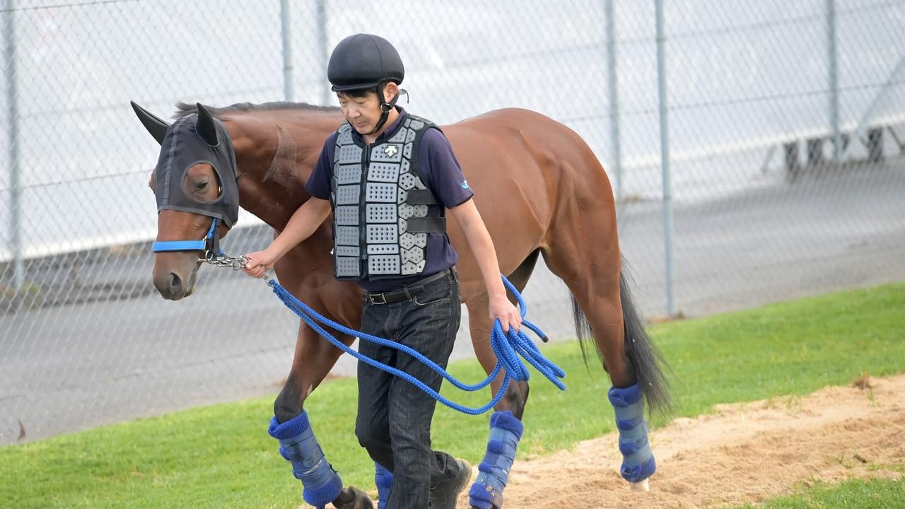 Obamburumai: The Japanese Raider Ready To Conquer Australia Image 1