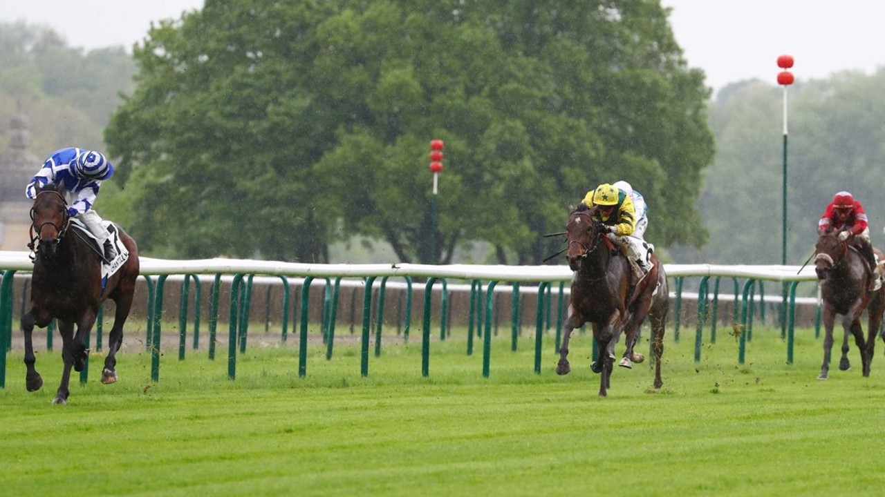 French Raider Big Rock Dominates Queen Elizabeth II Stakes Image 1