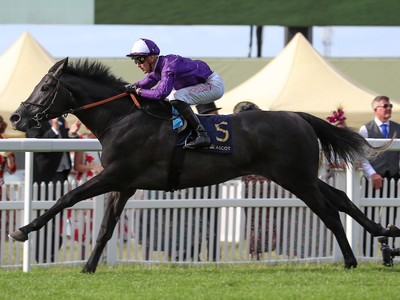 Connections Cautious About King Of Steel's Breeders' Cup ... Image 1