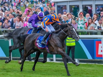 Auguste Rodin's Champion Stakes Victory Boosts Breeders' ... Image 1