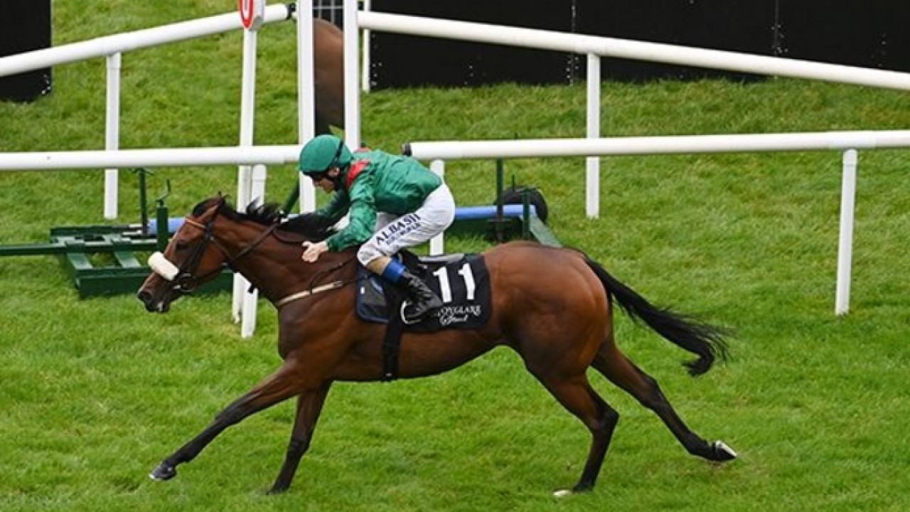 Tahiyra Retires After Illustrious Racing Career Image 1