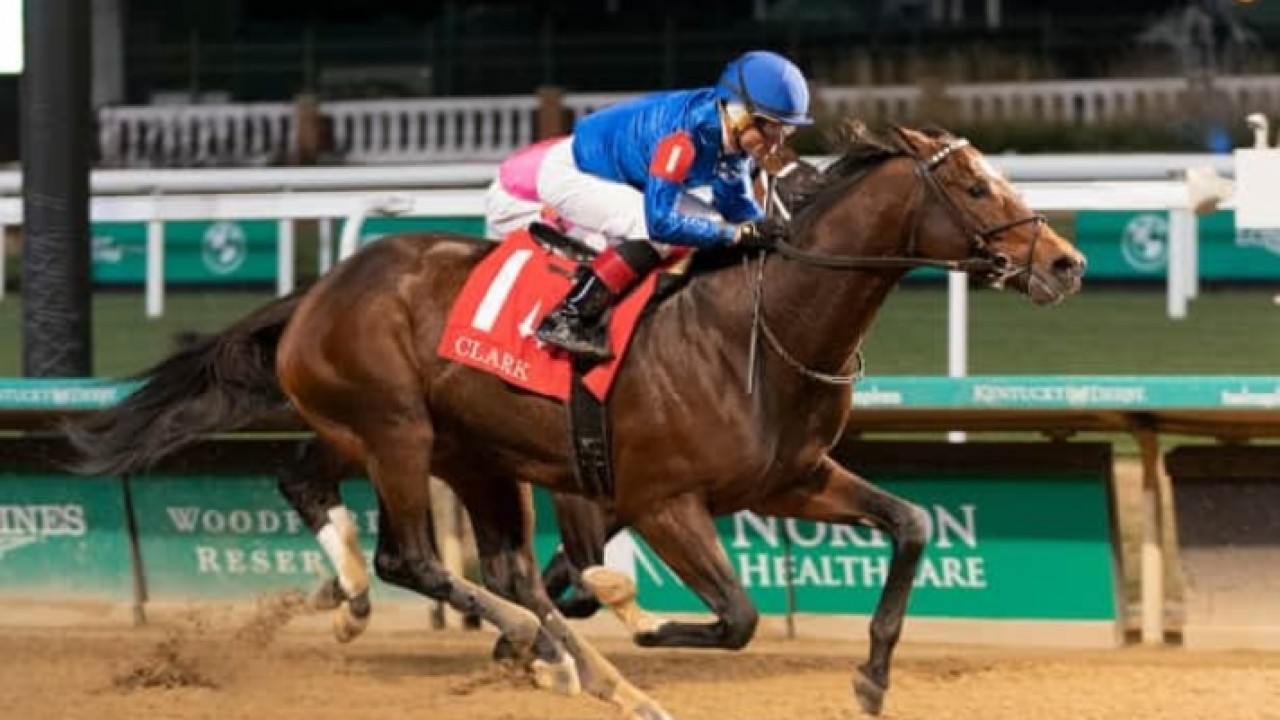 Those Ahead Of Breeders' Cup Include Proxy Image 1