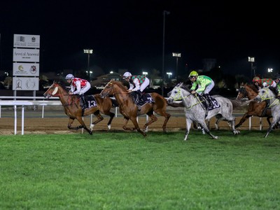 Sharjah's Opening Day To Highlight HE Sheikh Dr Sultan bin ... Image 1