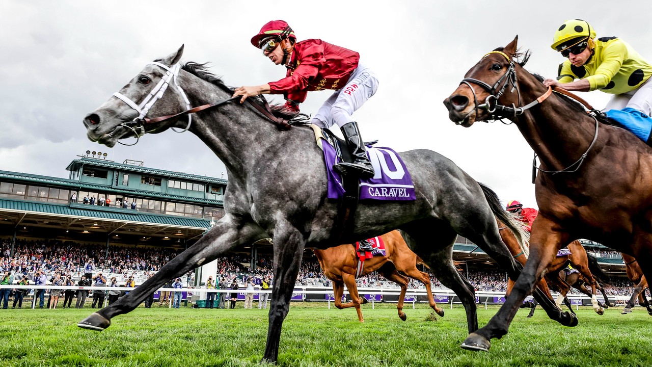 Caravel Poised To Defend Breeders' Cup Turf Sprint Title Image 1