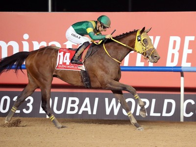 Japan's Ushba Tesoro Competes In Breeders' Cup Classic Image 1