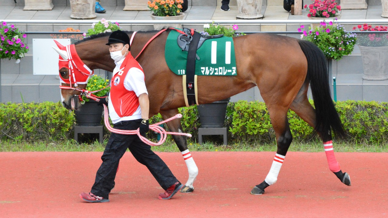 Japanese Thoroughbred Trainers Prepared For A Strong ... Image 1